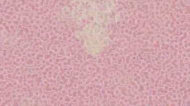 Dijital doku yüzey tasarım biçimi ile modern video animasyonu için gelişmiş hareket grafikleri