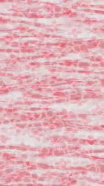 Profesyonel video projeleri sanat tarzı için organik hareketli arkaplan tasarımı