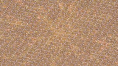 Estetik doku arkaplan tasarımı renkli hareket grafikleri ile moda film giriş profosyoneli