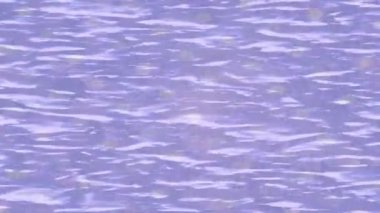 Benzersiz dijital hareket grafiklerine sahip yaratıcı sinematik projeler için yumuşak animasyon yüzeyi