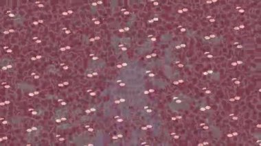 Yaratıcı video düzenleme film arkaplan tasarımı için minimalist organik hareket grafikleri