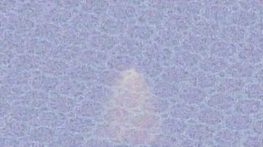 Lüks hareket tasarımı üst düzey video projeleri ve dijital sanat için zarif, pürüzsüz bir dokusu var.