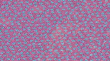 Dijital doku yüzey tasarım biçimi ile modern video animasyonu için gelişmiş hareket grafikleri