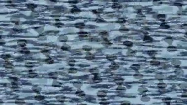 Benzersiz video giriş tasarımı projeleri için detaylı yüzey kalıbı film animasyon stili grafik girişi