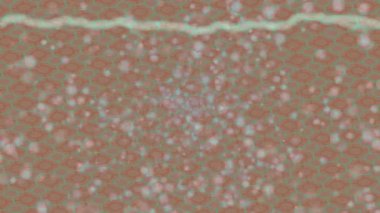 Yaratıcı video düzenleme film arkaplan tasarımı için minimalist organik hareket grafikleri