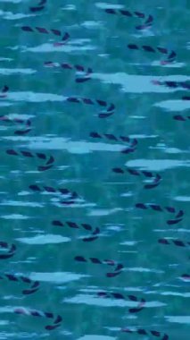 Yaratıcı video düzenleme film arkaplan tasarımı için minimalist organik hareket grafikleri