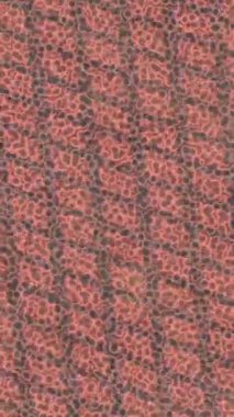 Benzersiz hareket grafikleri tasarım sanatına sahip yaratıcı film üretimi için özet bir arkaplan