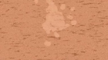 Lüks hareket tasarımı üst düzey video projeleri ve dijital sanat için zarif, pürüzsüz bir dokusu var.