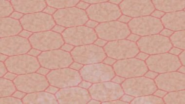 Benzersiz dijital animasyon tarzı grafikleri olan yaratıcı ortam tasarımı için yenilikçi hareket dokusu