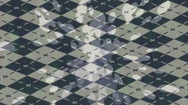 Benzersiz dijital hareket grafiklerine sahip yaratıcı sinematik projeler için yumuşak animasyon yüzeyi