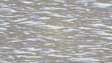 Benzersiz hareket grafikleri tasarım sanatına sahip yaratıcı film üretimi için özet bir arkaplan