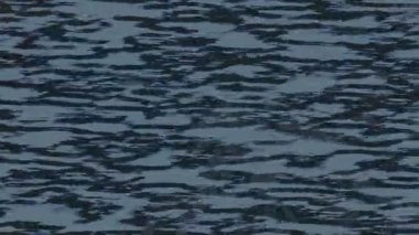 Modern medya üretimi için fütüristik dijital soyut doku sinematik tarz hareketli grafik ögesi