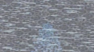 Benzersiz hareket dokusu tasarım sanatı ile profesyonel video düzenleme için modern soyut grafikler