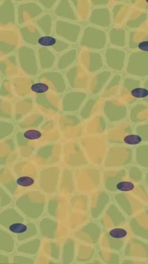 Dijital doku yüzey tasarım biçimi ile modern video animasyonu için gelişmiş hareket grafikleri