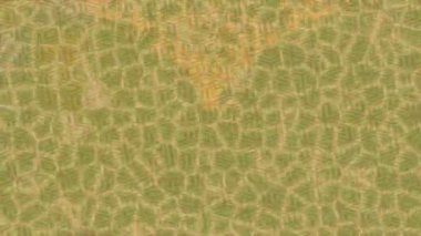 Soyut hareket desenli fütüristik video üretimi için dinamik dijital arkaplan