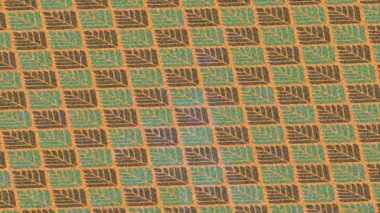 Organik desenli yüzey giriş stili video film sanatı ile soyut arkaplan tasarımı