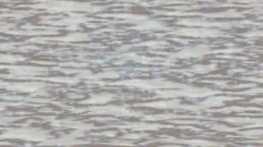 Soyut hareket desenli fütüristik video üretimi için dinamik dijital arkaplan