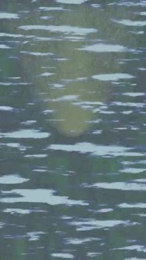 Benzersiz dijital hareket grafiklerine sahip yaratıcı sinematik projeler için yumuşak animasyon yüzeyi