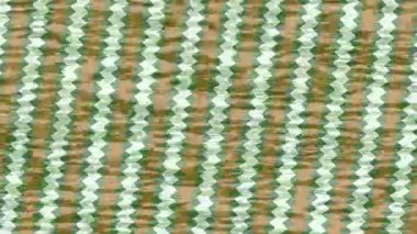 Organik desenli yüzey giriş stili video film sanatı ile soyut arkaplan tasarımı