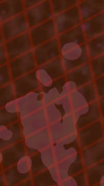 Yaratıcı video düzenleme film tasarımı için benzersiz hareket grafikleri biçimi giriş hareketi video pro