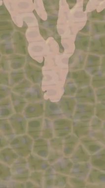 Dijital doku yüzey tasarım biçimi ile modern video animasyonu için gelişmiş hareket grafikleri