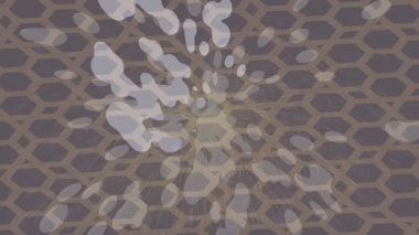 Lüks hareket tasarımı üst düzey video projeleri ve dijital sanat için zarif, pürüzsüz bir dokusu var.