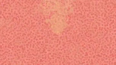 Benzersiz hareket grafikleri tasarım sanatına sahip yaratıcı film üretimi için özet bir arkaplan