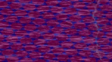 Organik desenli yüzey giriş stili video film sanatı ile soyut arkaplan tasarımı