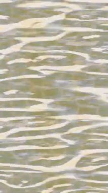 Lüks hareket tasarımı üst düzey video projeleri ve dijital sanat için zarif, pürüzsüz bir dokusu var.