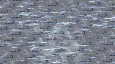 Estetik doku arkaplan tasarımı renkli hareket grafikleri ile moda film giriş profosyoneli