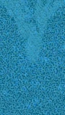 Benzersiz dijital hareket grafiklerine sahip yaratıcı sinematik projeler için yumuşak animasyon yüzeyi