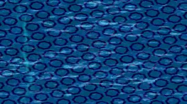 Profesyonel video projeleri sanat tarzı için organik hareketli arkaplan tasarımı