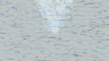 Benzersiz dijital animasyon tarzı grafikleri olan yaratıcı ortam tasarımı için yenilikçi hareket dokusu