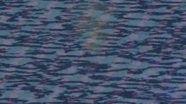 Yaratıcı video düzenleme film arkaplan tasarımı için minimalist organik hareket grafikleri