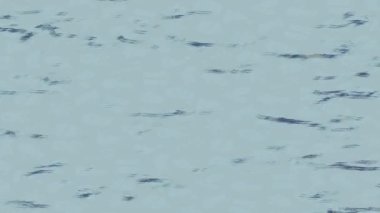 Estetik doku arkaplan tasarımı renkli hareket grafikleri ile moda film giriş profosyoneli