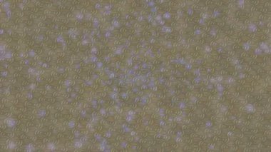 Lüks hareket projeleri için soyut tasarım stili animasyonu olan üst düzey dijital doku