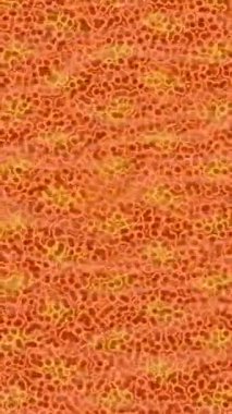 Yaratıcı video düzenleme film arkaplan tasarımı için minimalist organik hareket grafikleri