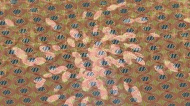 Modern medya üretimi için fütüristik dijital soyut doku sinematik tarz hareketli grafik ögesi