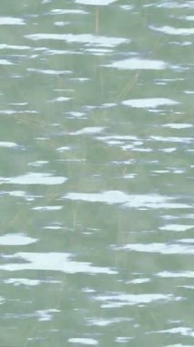 Yaratıcı video düzenleme film arkaplan tasarımı için minimalist organik hareket grafikleri