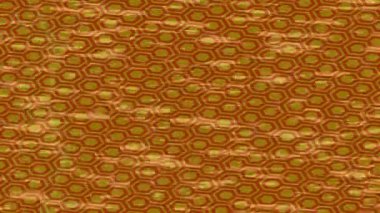 Soyut hareket desenli fütüristik video üretimi için dinamik dijital arkaplan