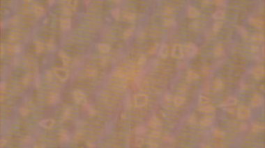 Estetik doku arkaplan tasarımı renkli hareket grafikleri ile moda film giriş profosyoneli