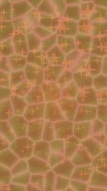 Dijital doku yüzey tasarım biçimi ile modern video animasyonu için gelişmiş hareket grafikleri