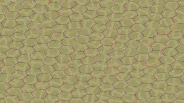 Yaratıcı video düzenleme film tasarımı için benzersiz hareket grafikleri biçimi giriş hareketi video pro