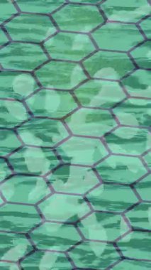 Benzersiz dijital hareket grafiklerine sahip yaratıcı sinematik projeler için yumuşak animasyon yüzeyi