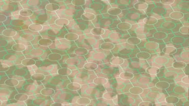 Benzersiz dijital hareket grafiklerine sahip yaratıcı sinematik projeler için yumuşak animasyon yüzeyi