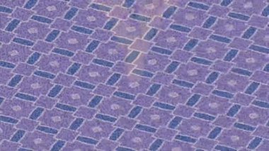 Benzersiz dijital hareket grafiklerine sahip yaratıcı sinematik projeler için yumuşak animasyon yüzeyi