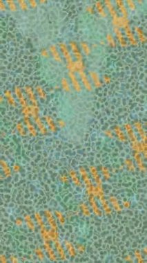 Yaratıcı video düzenleme film tasarımı için benzersiz hareket grafikleri biçimi giriş hareketi video pro