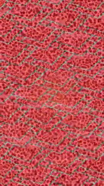 Estetik doku arkaplan tasarımı renkli hareket grafikleri ile moda film giriş profosyoneli