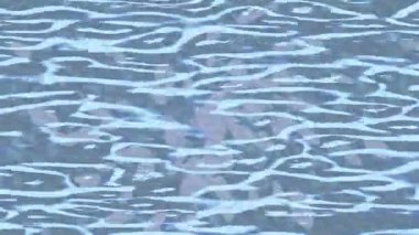 Yaratıcı video düzenleme film arkaplan tasarımı için minimalist organik hareket grafikleri