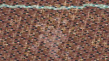 Profesyonel video projeleri sanat tarzı için organik hareketli arkaplan tasarımı